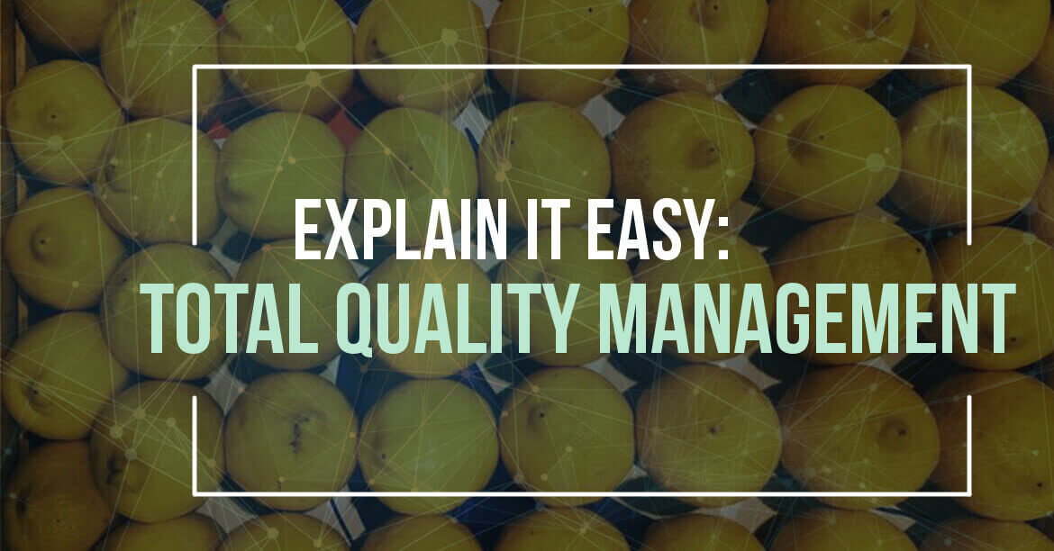 Explain It Easy: Total Quality Management (TQM) blog